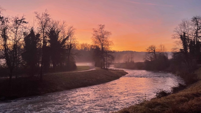 Eine Aufnahme von Helga Piccolruaz. Veröffentlicht in der Rubrik: Bild der Woche.
