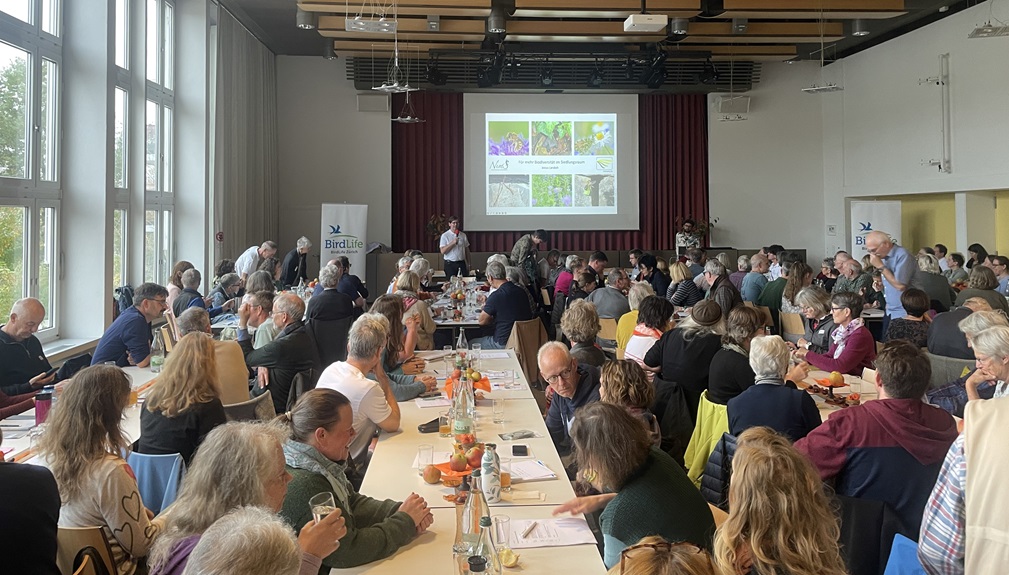 Bild: Thomas Kissling