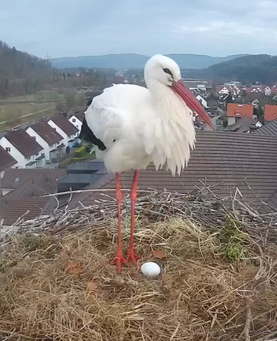 Ein stolzer Gottfried.