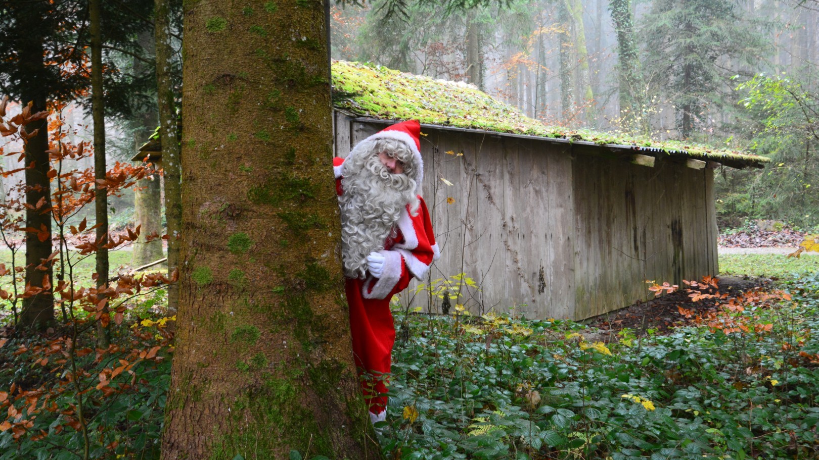 Auch in diesem Jahr besuchen die Kinder den Samichlaus im Wald.