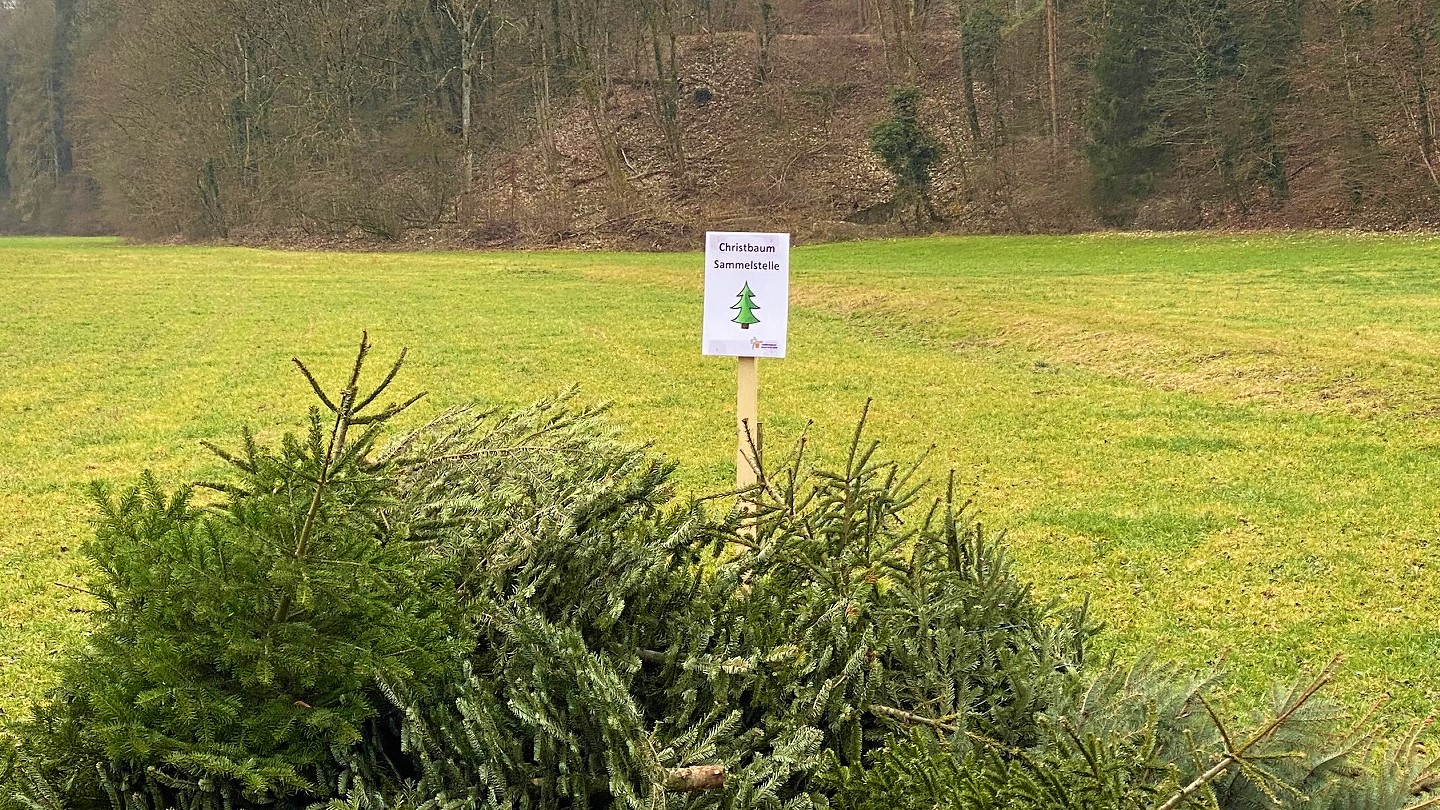 Vereinsnachricht