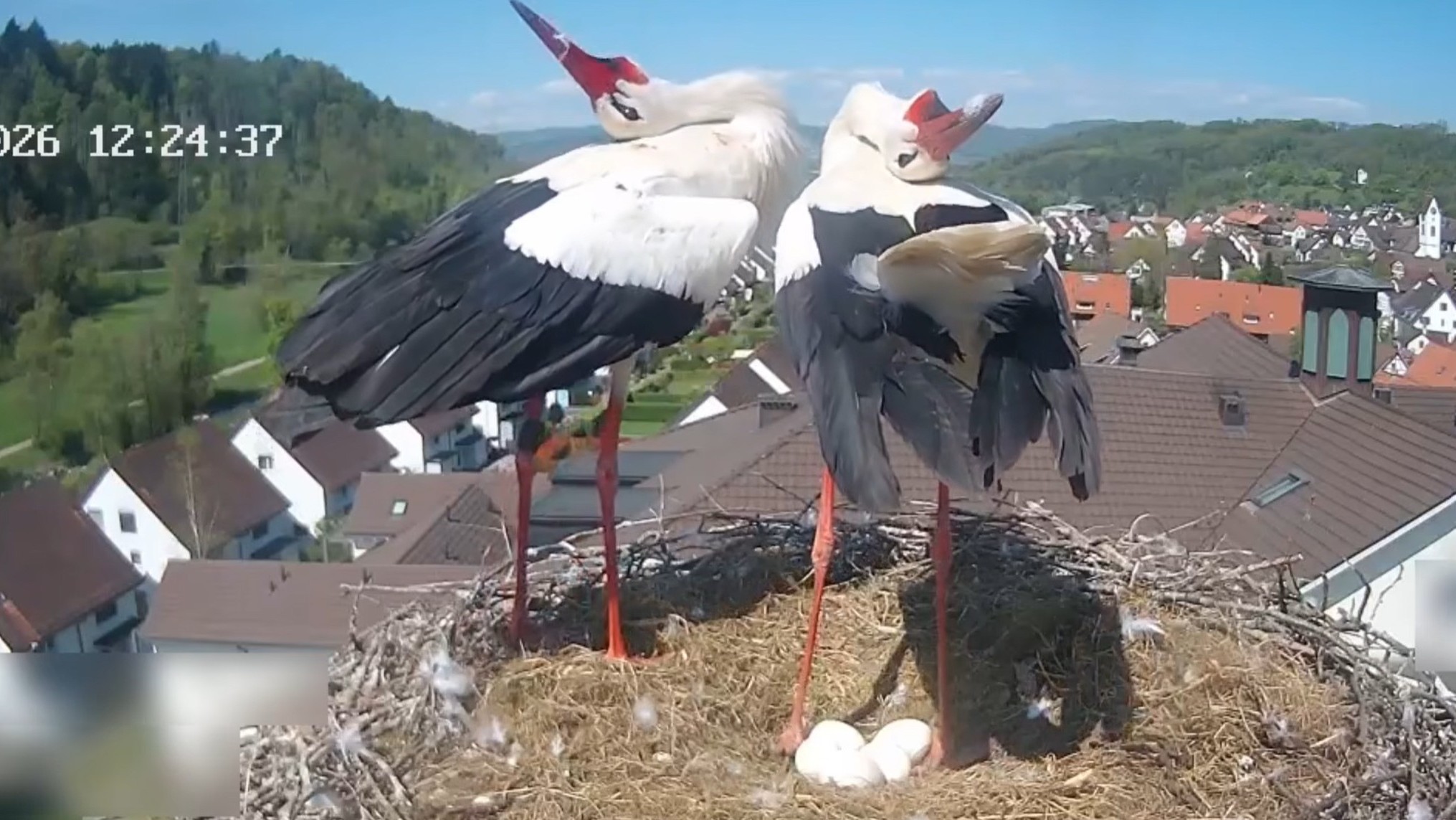Judith und Gottfried begrüssen sich.
