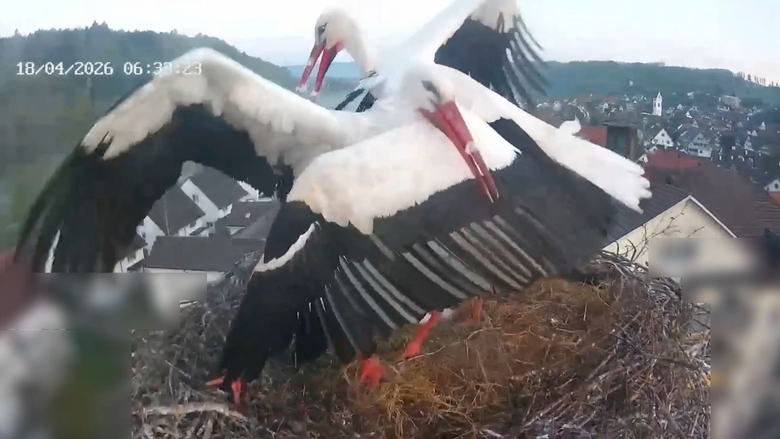 Heftige Kampfszenen heute morgen.