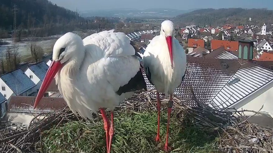 Gottfried und Judith (mit Ring)