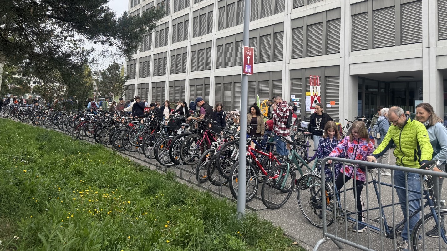 Um die 250 Velos stehen in Reih und Glied.